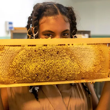 Greet Grenoble Centre Gare Accor Hotel 호텔 3*