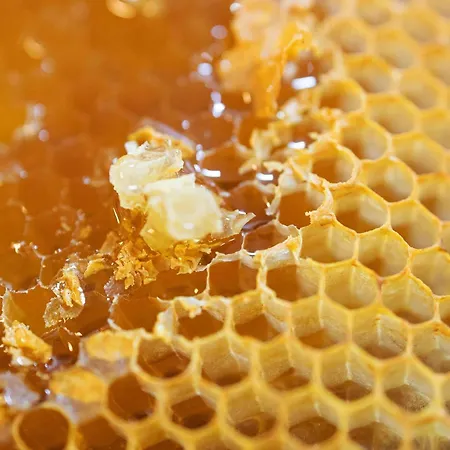 Greet Centre Gare 3*