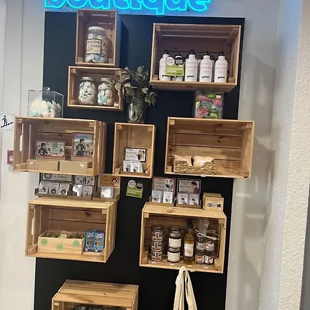 Greet Grenoble Centre Gare Accor Hotel 3* 그르노블