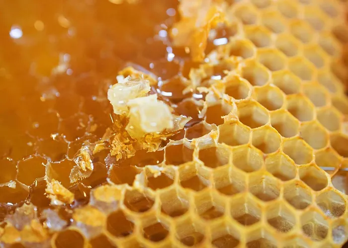 Greet Centre Gare Accor 3*