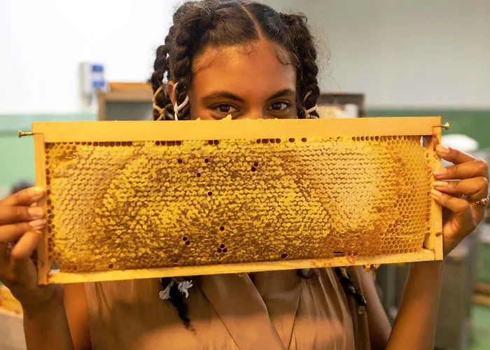 Greet Centre Gare Accor ホテル 3*